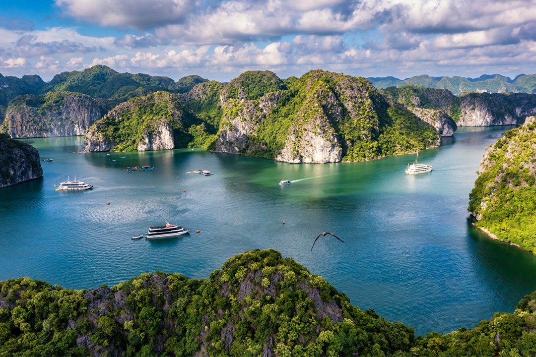 12D11N Vibrant Vietnam: Hanoi - Ninh Binh - Sapa - Halong Bay - Danang - Hoi An - Ho Chi Minh City - Mekong Delta